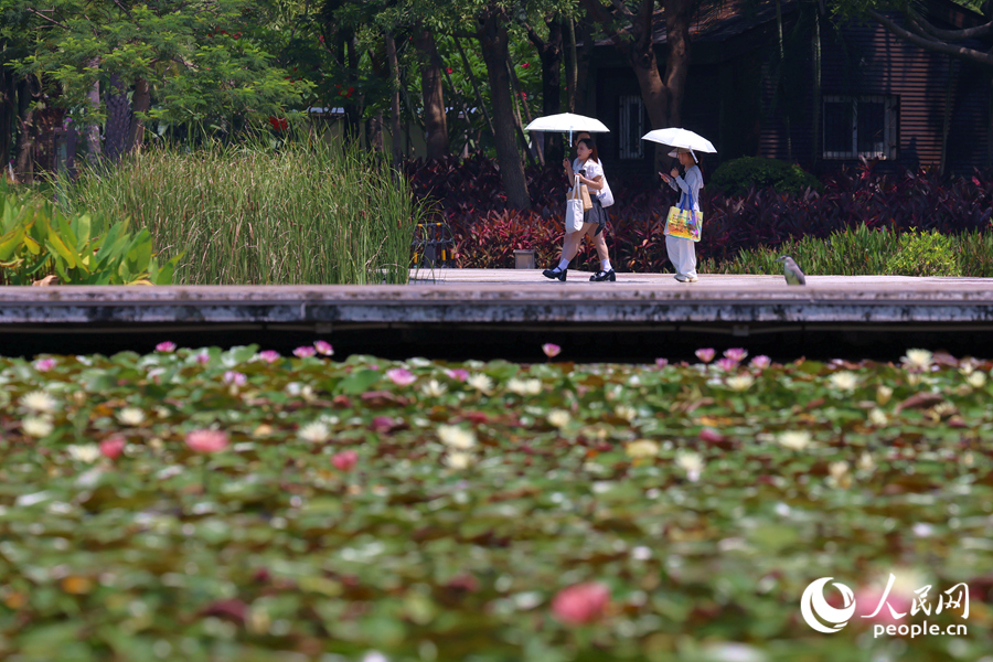 市民游客漫步于蓮池廊道。人民網(wǎng)記者 陳博攝
