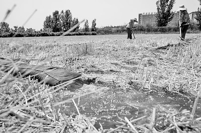 連日來(lái),黃淮海持續(xù)高溫少雨,部分地區(qū)旱情仍在發(fā)展。圖為山東省肥城市通過(guò)蓄引提調(diào)相結(jié)合的辦法,多措并舉搶灌溉、保苗情。 新華社發(fā)