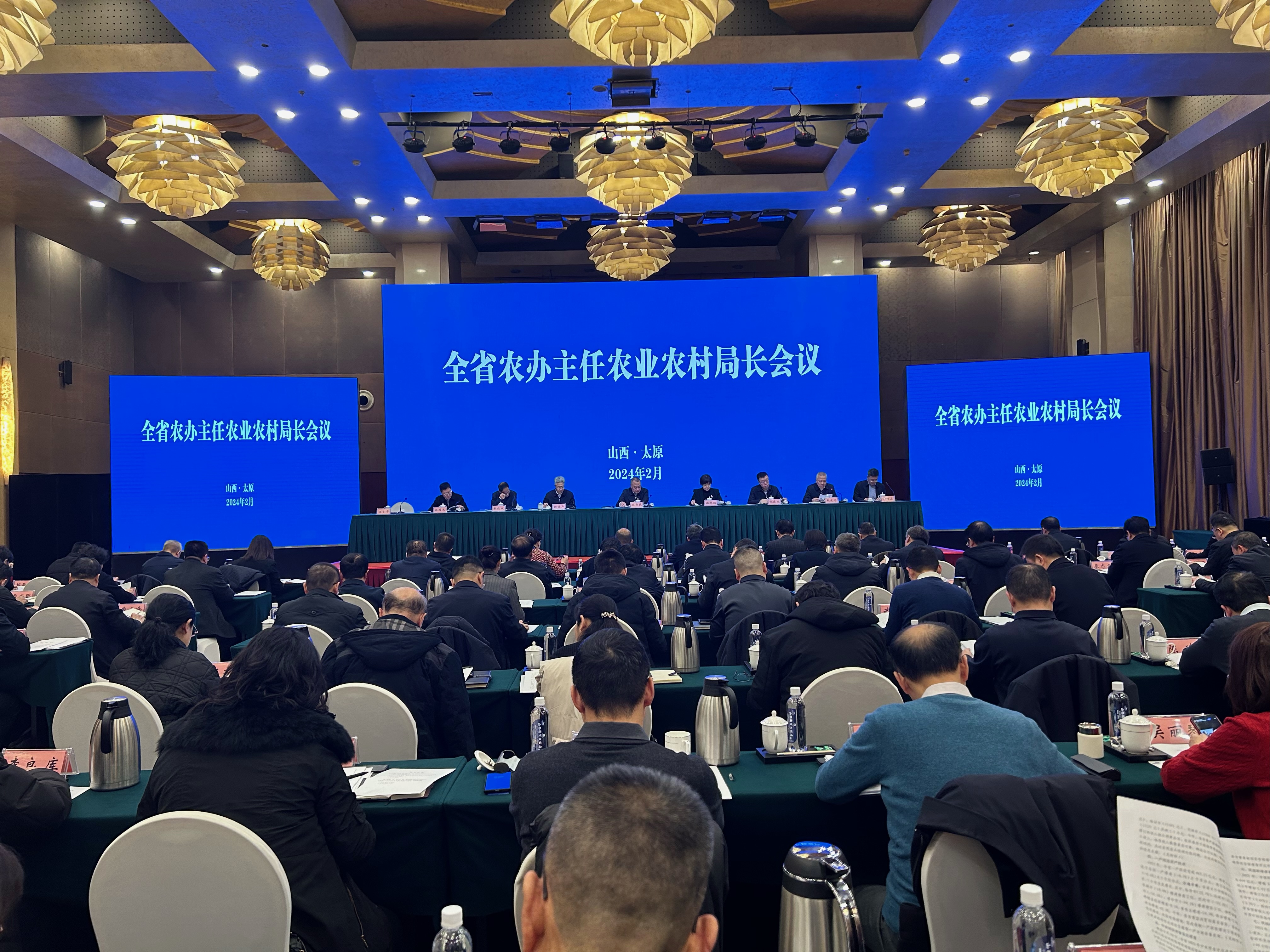 image1.jpeg image1.jpeg