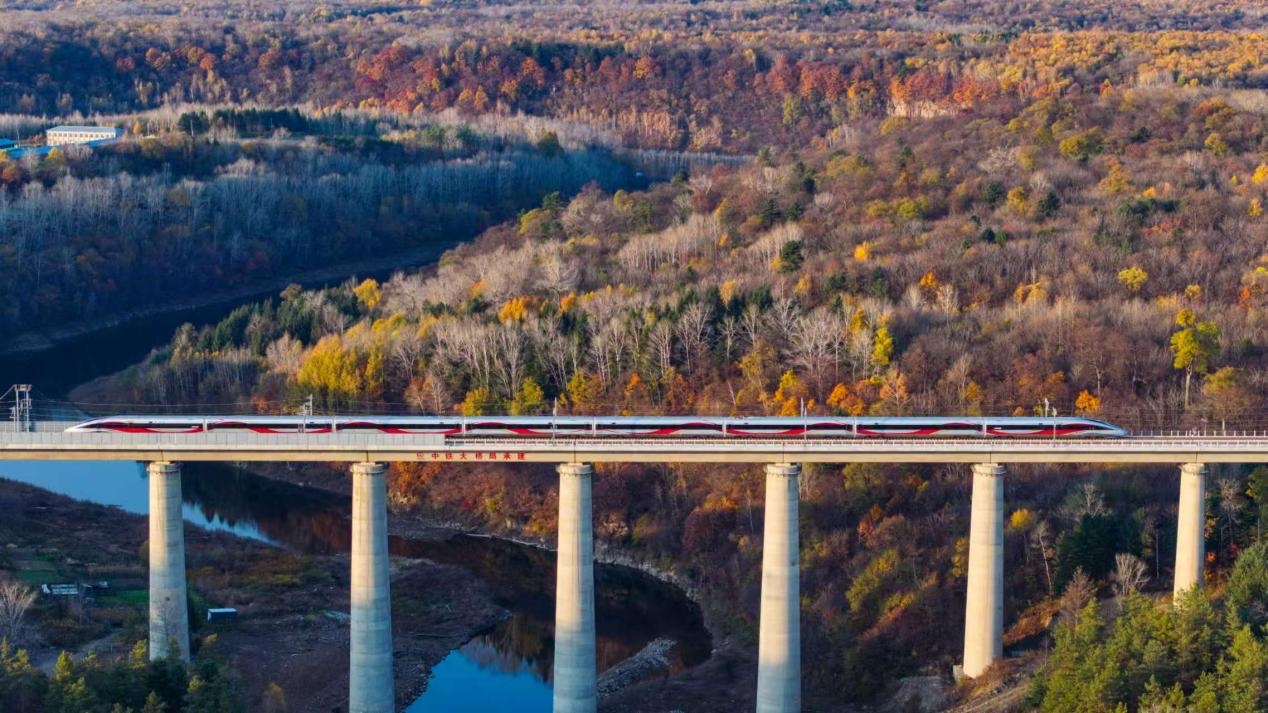 沈白高鐵正式開通運(yùn)營(yíng)。受訪方供圖