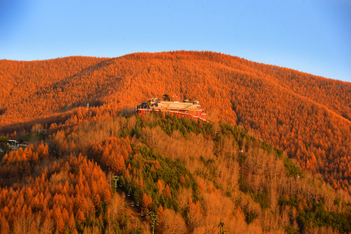 秋日五臺(tái)山醉游人-37149.jpg 秋日五臺(tái)山醉游人-37149.jpg